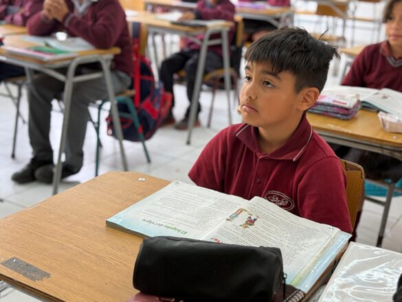 Más de 536 mil textos escolares llegaron a la Región de Coquimbo para fortalecer aprendizajes y apoyar a las familias