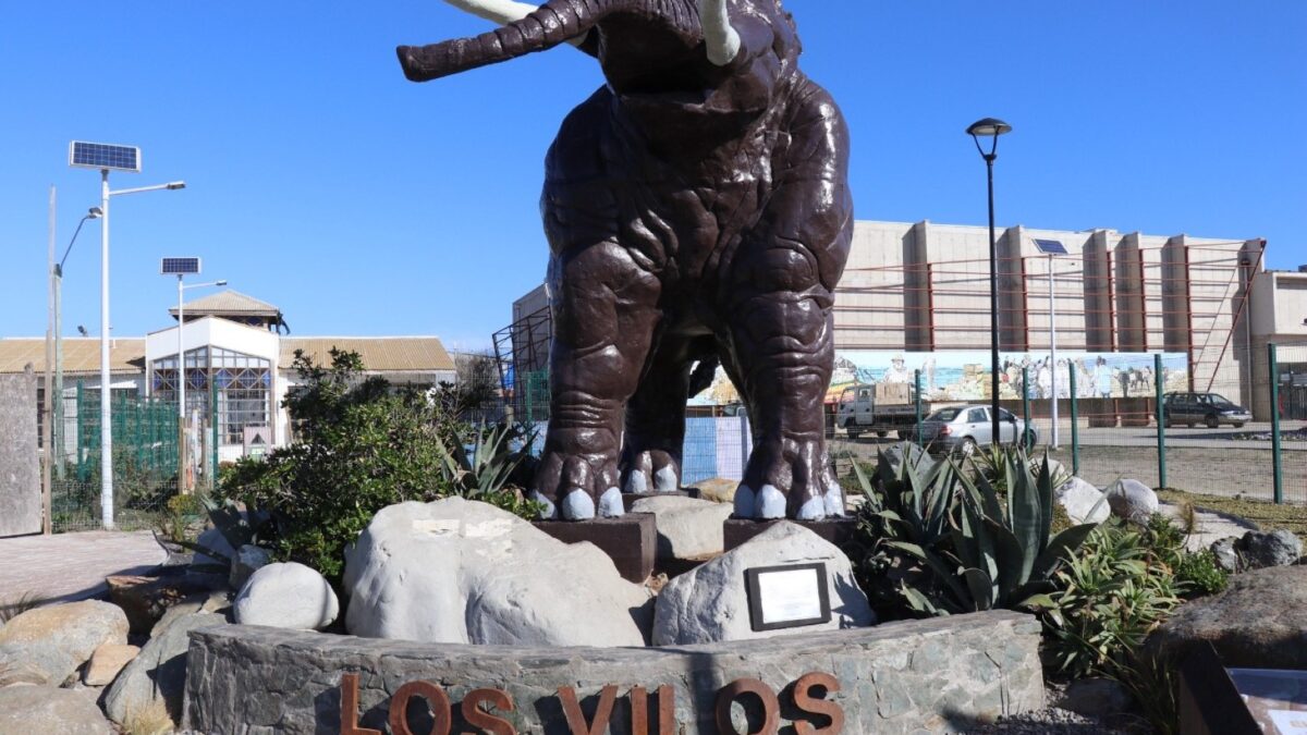 Sernatur abre convocatoria para cofinanciar proyectos de promoción turística internacional