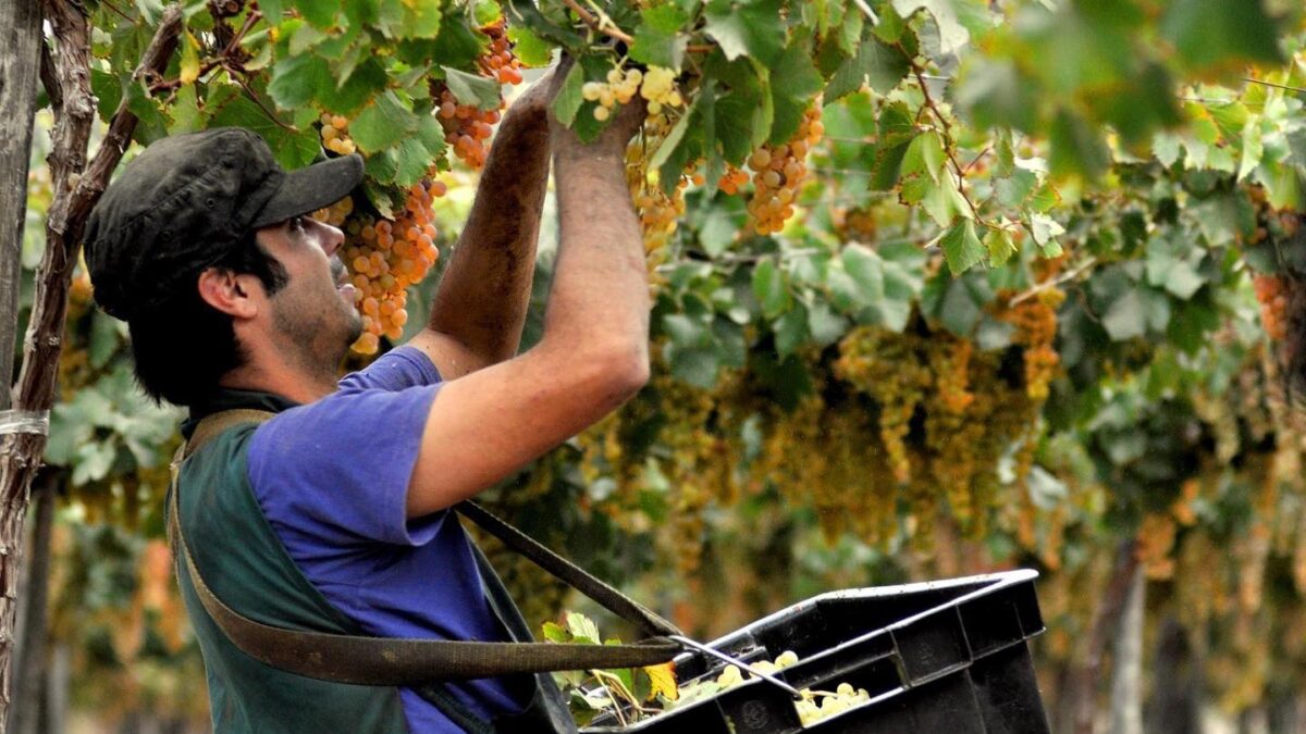 Un Brindis por el futuro: La fórmula de Capel para reescribir la tradición durante 88 años