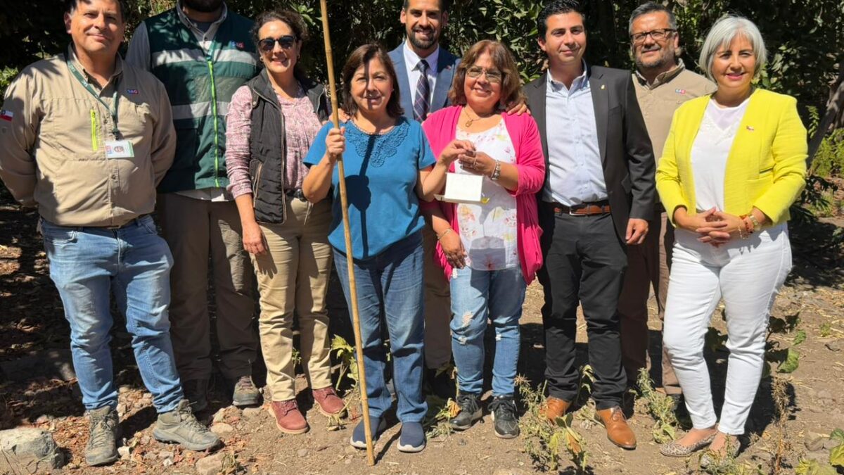 Ovalle recupera su estatus sanitario Comuna es declarada libre de Mosca de la Fruta